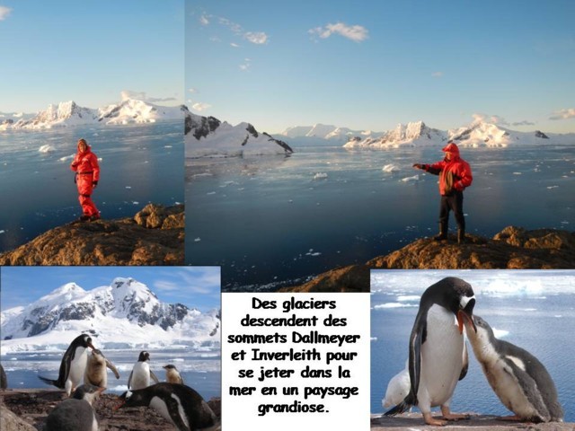 Antartique -13.jpg